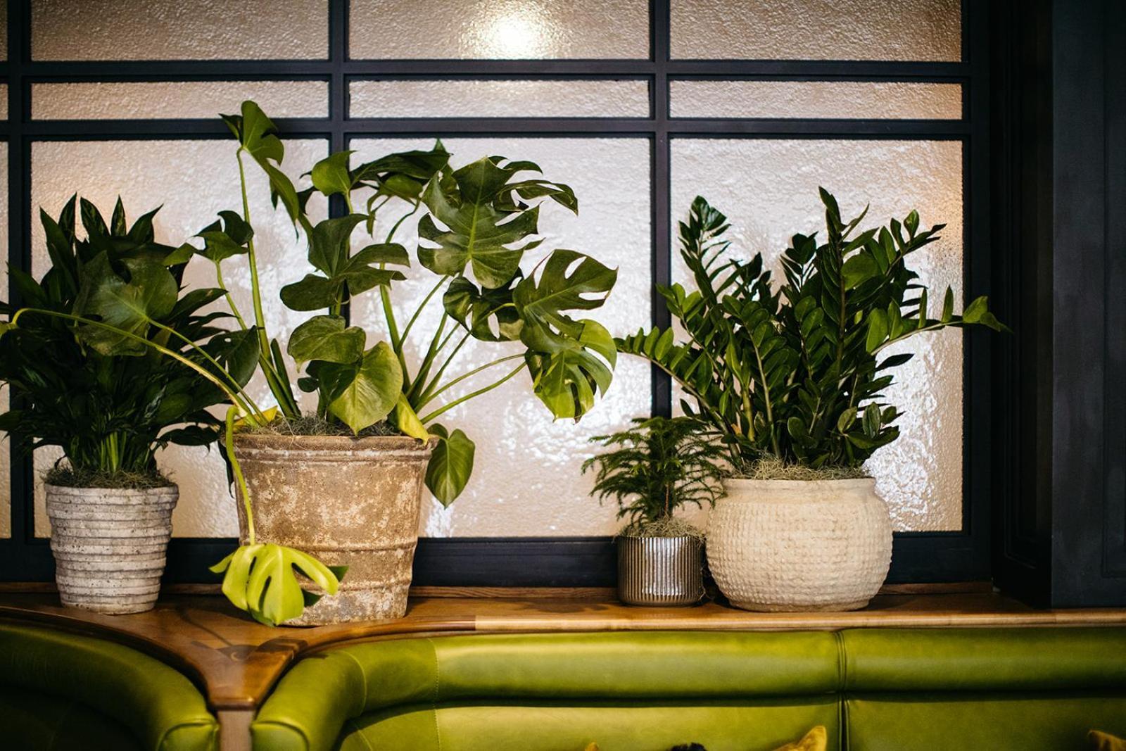 Hotel Emeline 查尔斯顿 外观 照片